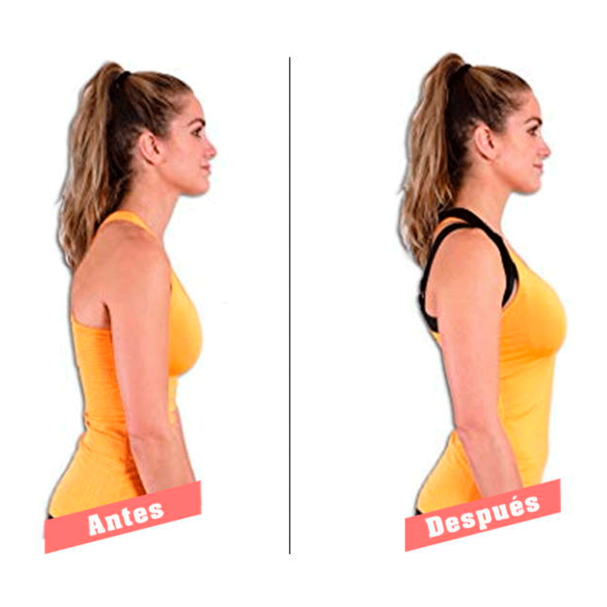 [V-066] Corrector de Postura Levanta Busto con Algodón Interno